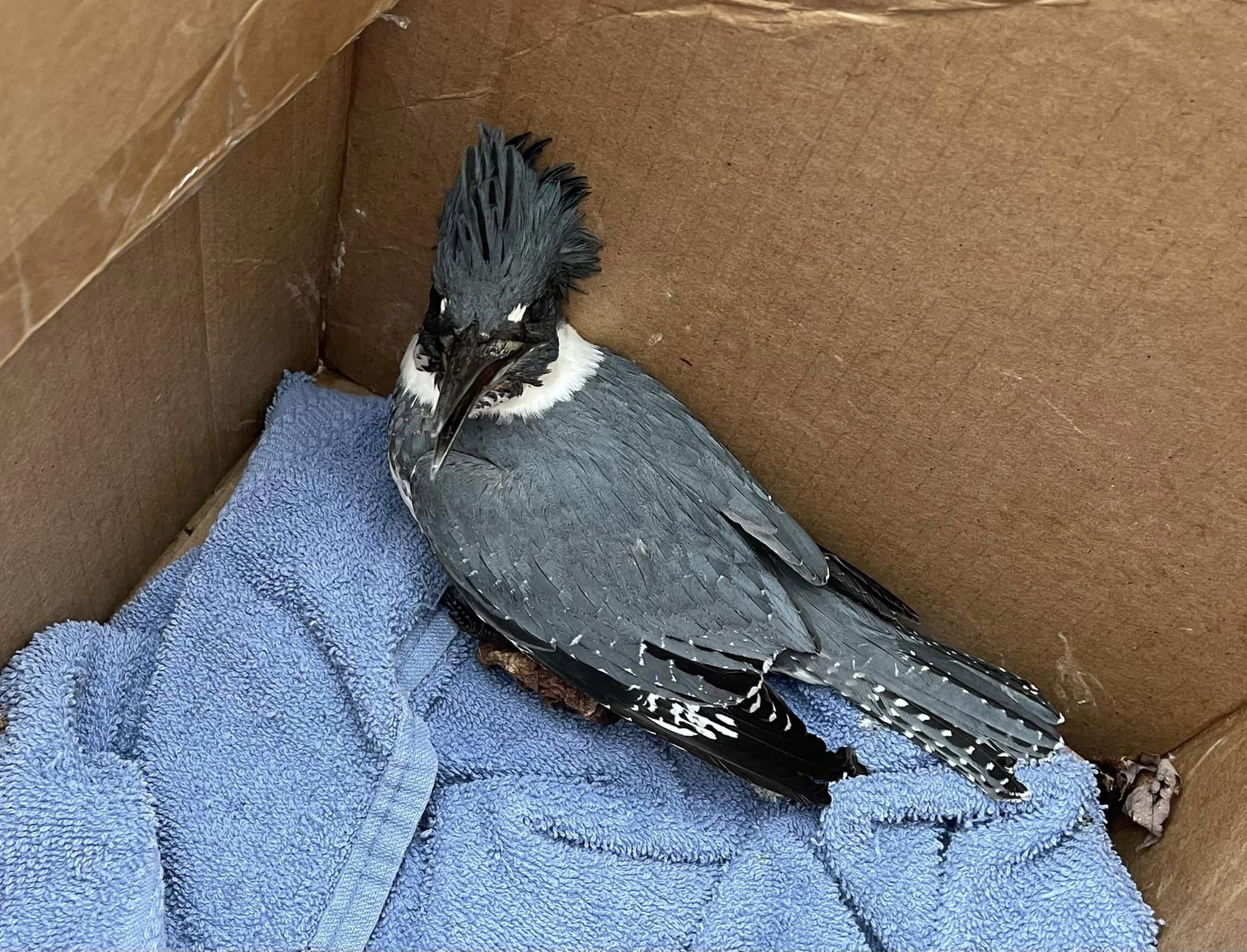 418799136_10233442132697803_1609640758397093238_n