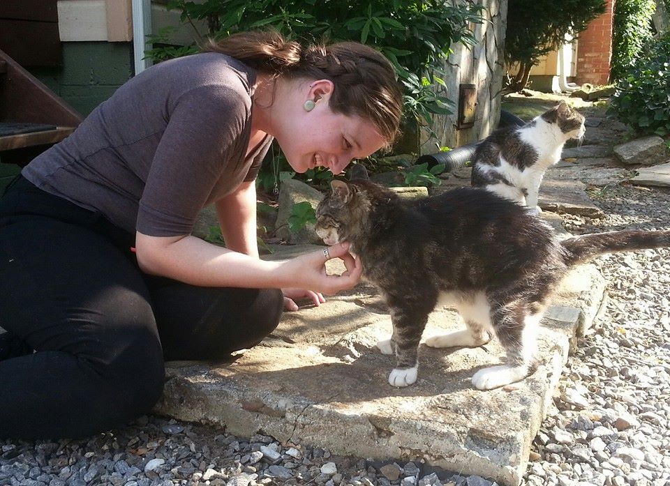 FACEBOOK-BLUEHEART-CAT