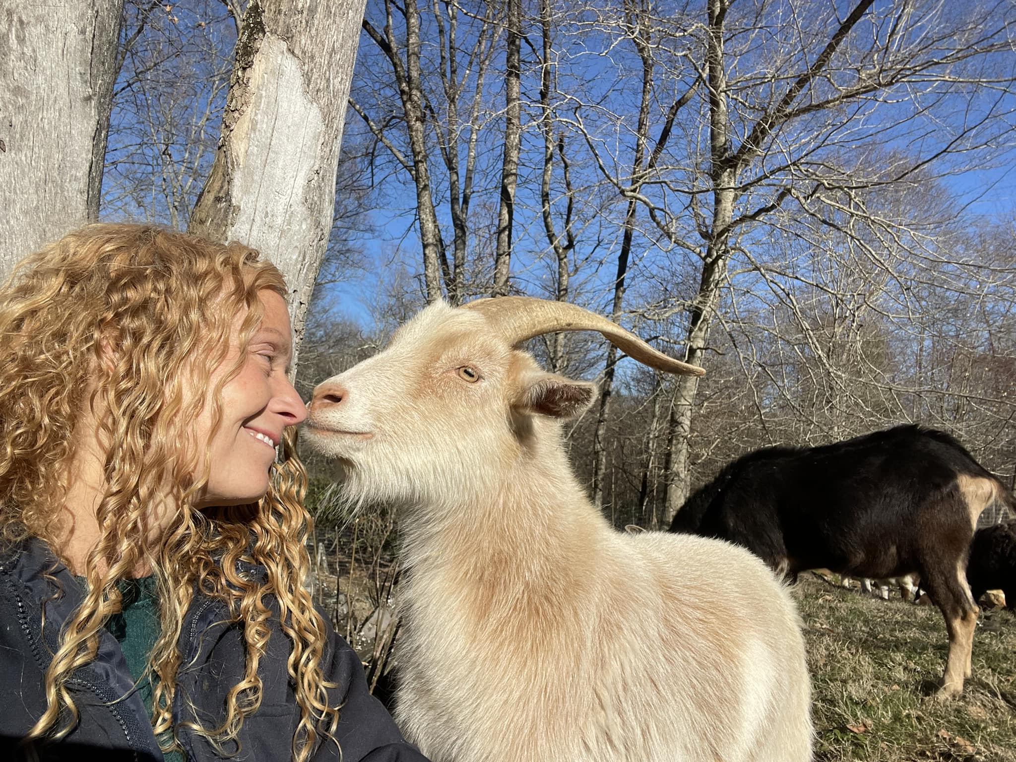 GOAT-LOVE-BLUE-HEART